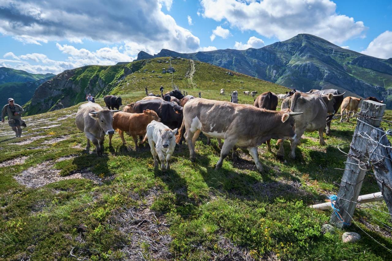 La Posada De Cucayo Dobres ภายนอก รูปภาพ